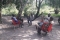 Zikisso Forest Camp un vrai air de repos et de restauration